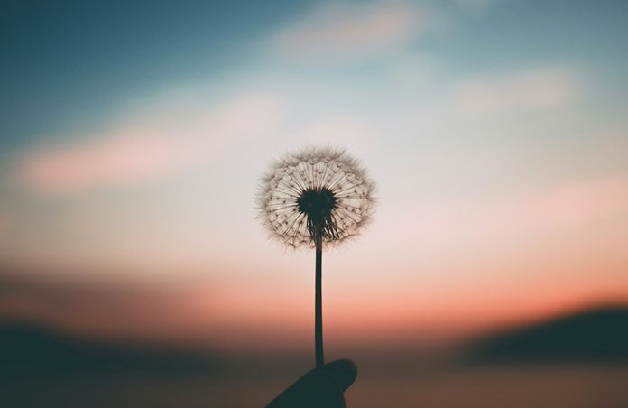 (Photo: Aleksandr Ledogorov / Unsplash)